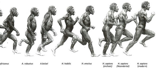 Differenza Tra Sapiens E Sapiens Sapiens